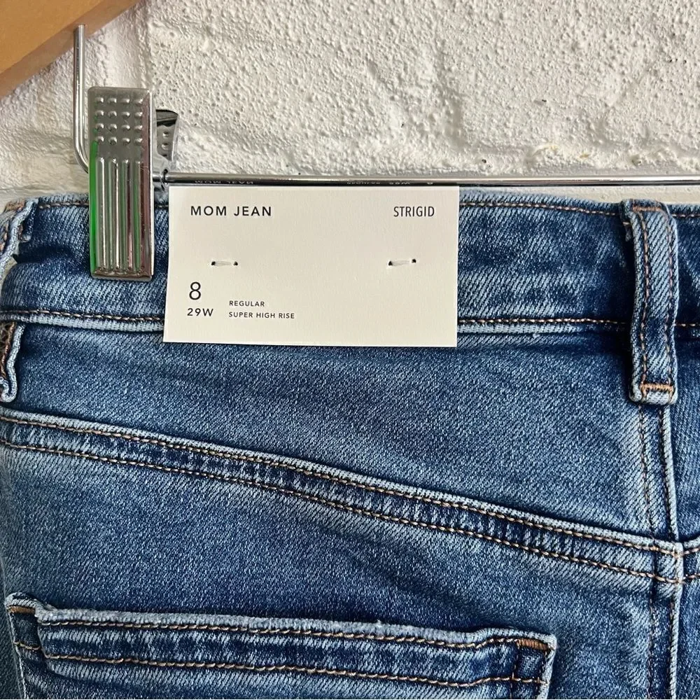 NWT American Eagle Strigid Patched Mom Jean Size 8